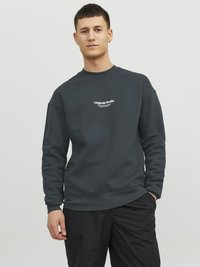 Jack & Jones JORVESTERBRO CREW NECK - Ikdienas džemperis - magical forest