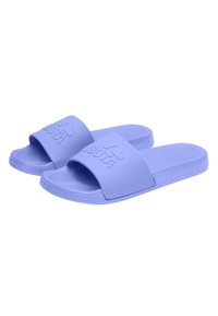 Kubota Pool slides - mottled purple