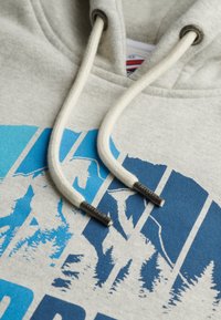 Superdry & Co MOUNTAIN RAINBOW  jasnoszary