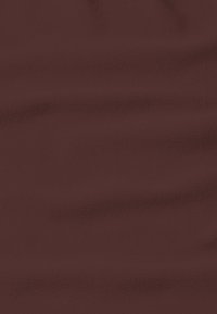 Jack Wolfskin BAISELBERG - Giacca outdoor - dark maroon
