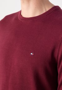 Gros plan sur une personne portant un pull ras du cou couleur bordeaux avec un petit logo rectangulaire rouge, blanc et bleu sur la poitrine.
