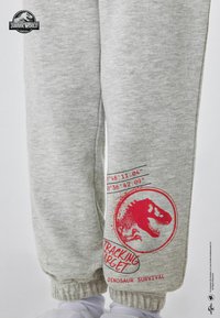 Szare dresy mają czerwony graficzny wzór dinozaura oraz nadruk współrzędnych na lewej nodze. Dół w mankietach oraz miękka tekstura zwiększają komfort noszenia.