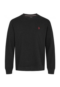 O NECK ADLER - Športni pulover - tap shoe
