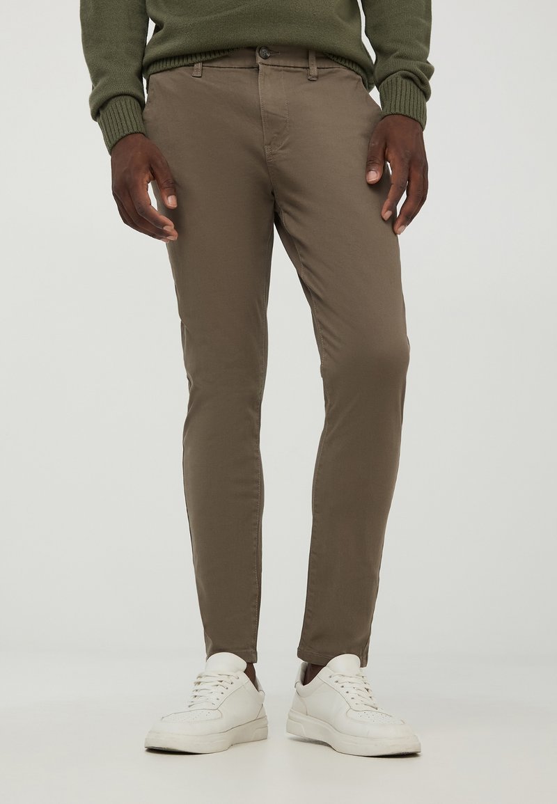 Terranova Chino - testa moro