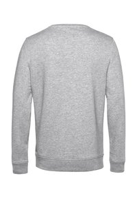 Felpa grigia con scollatura rotonda, maniche lunghe e polsini a coste. Texture liscia, senza loghi o motivi visibili sul retro.