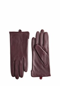 REGULAR FIT - Pirštinės - burgundy red