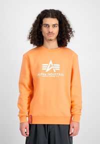 Orangener Sweatshirt aus Baumwolle, mit einem weißen Logo und Streifenmuster auf der Vorderseite, gerippten Bündchen und einem geraden Saum.