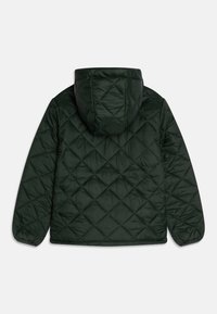 Chaqueta acolchada de color verde oscuro con capucha, mangas largas y puños elásticos, mostrada desde la parte posterior sobre un fondo blanco.