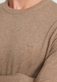 Brauner Strickpullover mit rundem Ausschnitt und gerippten Bündchen. Dezent gebrandet auf der Brust. Weiche Textur, lässiges Design.