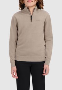 Ballin REGULAR FIT HALF ZIP - Strickpullover - taupe