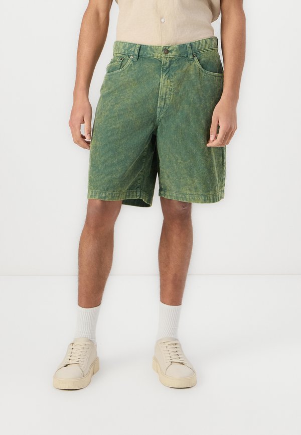 CARPENTER - Shorts - twig