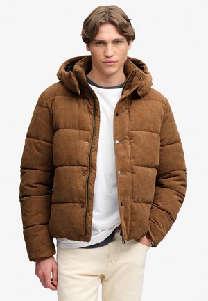 Superdry & Co, SUPERDRY PREMIUM HOODED CORD PUFFER JACKET.. - Winterjacke - dark tobacco brown