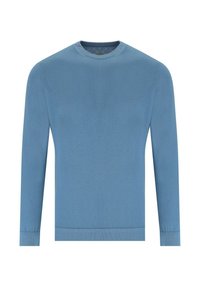 Maglione lavorato a maglia di colore azzurro chiaro con colletto rotondo, maniche lunghe e polsini e orlo a coste. Tessuto liscio senza motivi o accenti.