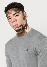 Grijze gebreide trui met een ronde halslijn en een klein geborduurd logo op de borst. De stof is glad met een fijne textuur.