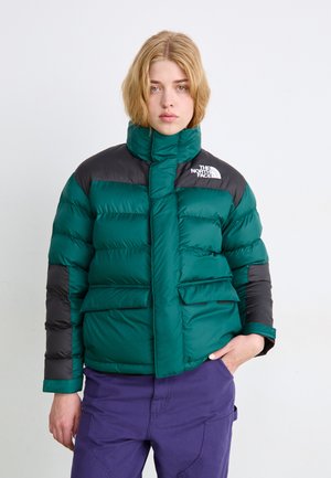 LIMBARA INSULATED - Vinterjakke - hunter green