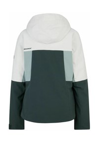 Ziener TASSILA JUNGLE - Snowboardjacke - dark green