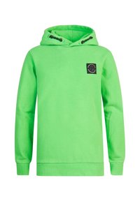 Niet geselecteerd, andean toucan