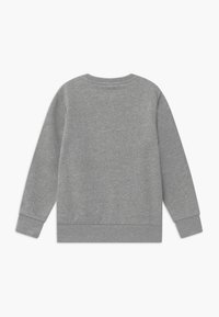 Felpa grigia con scollo rotondo, maniche lunghe e polsini a costine. Realizzata in tessuto morbido con una texture liscia e senza motivi visibili.