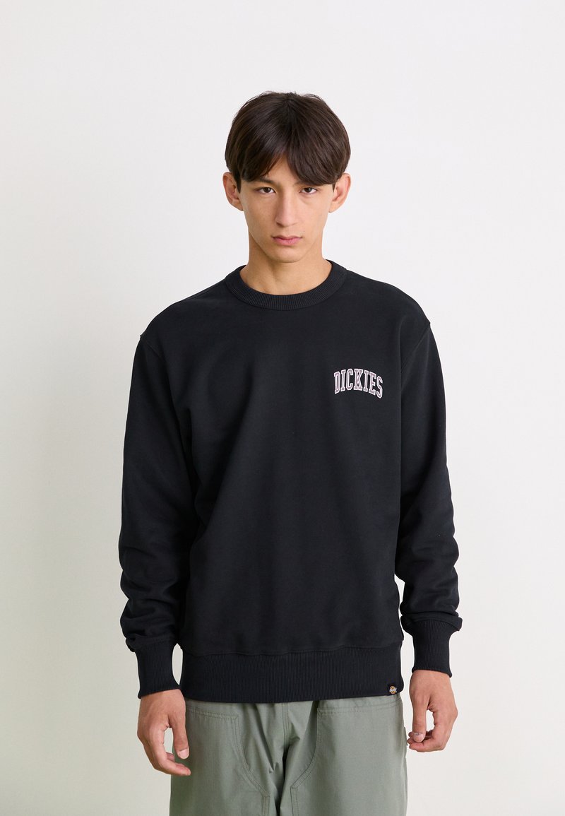 Dickies AITKIN CHEST UNISEX - Sudadera - black/plum