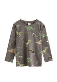 Grå långärmad t-shirt med färgglada dinosaurieillustrationer, inklusive T-Rex och stegosaurus, mot en lekfull landskapsbakgrund.