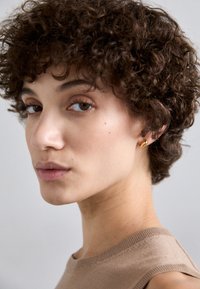 SAGENE STUD  - Pendientes - gold-coloured