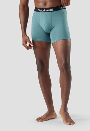 Männliches Model trägt tealfarbene Smartwool-Boxershorts und steht barfuß vor einem schlichten hellgrauen Hintergrund.