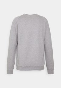Felpa grigia con scollatura tonda, maniche lunghe, polsini e orlo a costine. Realizzata in un tessuto morbido con una superficie liscia. Vista posteriore.
