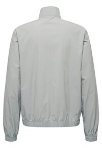 Hellgraue Bomberjacke mit Stehkragen, langen Ärmeln, elastischen Bündchen und gerafftem Taillenbund. Glatte Textur, minimalistisches Design.