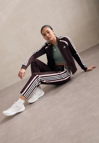 adidas Sportswear TEAMSPORT TRACK SUIT - Gornji dio trenirke - shadow brown/white