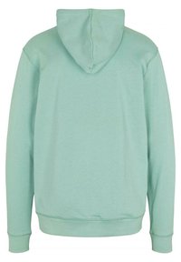 U.S. Polo Assn. Hoodie - green