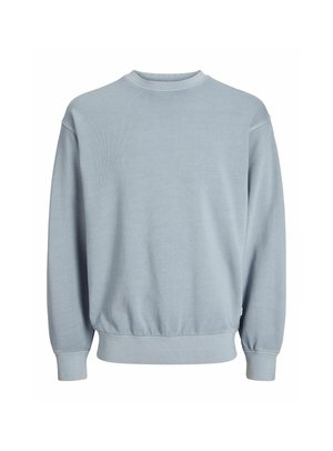 Light blue sweatshirt made of soft fabric, featuring a round neck, long sleeves, ribbed cuffs, and a gathered hem at the waist.