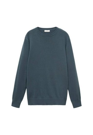 TEEN - Striktrøje - teal