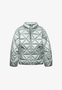 Pasirinkta, light green