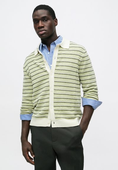 Gestreepte cardigan in lichtgroen en crème, met knopen en geribde manchetten. Draagt een blauw-wit gestreept overhemd eronder, gecombineerd met een donkere broek.