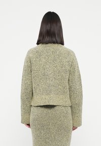 Woolen green sweater with a textured finish, cropped design, and long sleeves. The back features a subtle neckline and ribbed hem.