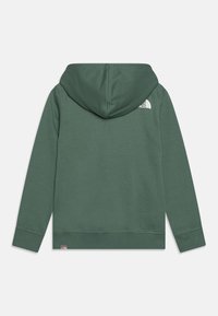 The North Face Jersey con capucha - dark green
