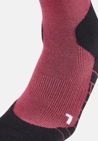CEP LIGHT MERINO HIKING COMPRESSION SOCKS KNEE-HIGH WOMEN - MADE IN GERMANY - Kniekousen - berry