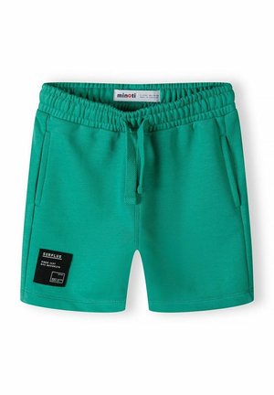 Shorts verts à taille élastique avec cordon de serrage, poches latérales et une étiquette noire sur la jambe gauche portant l'inscription "SURPLUS NYC BROOKLYN".