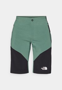 FELIK SLIM TAPERED  - Friluftsshorts - duck green/black