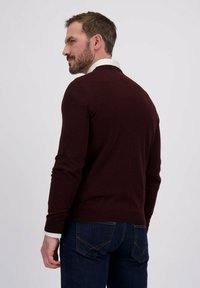 Man met kort haar en baard, gekleed in een donker bordeauxrood sweater over een witte shirt en donkerblauwe jeans, die iets naar links kijkt tegen een effen achtergrond.