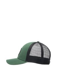TRUCKER - Caps - pine
