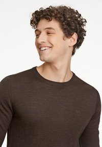 Brauner Pullover mit langen Ärmeln aus weichem Strickmaterial, mit rundem Ausschnitt und dezentem, auf der Brust gesticktem Logo.