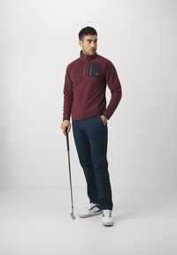 Calvin Klein Golf PLANET HALF ZIP - Pulover iz flisa - burgundy
