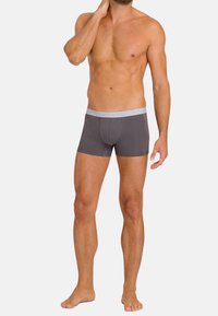 Hanro RETRO 2 PACK ESSENTIALS - Boxers - amaranth mercury