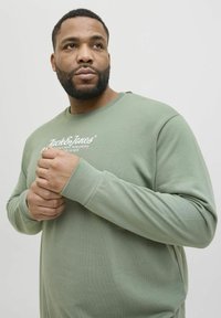 Grünes Longsleeve-Shirt aus weicher Baumwolle. Mit Rundhalsausschnitt, gerippten Bündchen und einem weißen Logo auf der Brust.