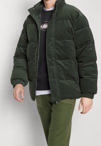 Chaqueta acolchada verde con un cuello alto, cremallera frontal y puños de canalé. Llevada sobre un sudadera negra y pantalones verde oliva.
