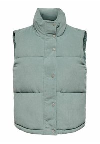 Gilet imbottito senza maniche di colore verde chiaro con colletto alto e chiusura a bottoni a pressione sul davanti.