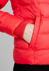 Rode donsjack met doorgestikte textuur, voorzien van een zijzak en geribbelde manchetten. Gladde stof verhoogt de isolatie en warmte.