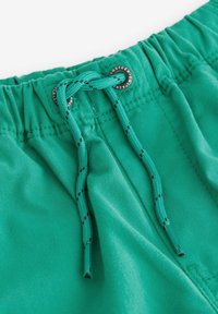 Next PULL-ON REGULAR FIT - Shorts - green