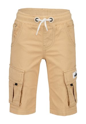 CLIFF - Pantalon cargo - spruce sand
